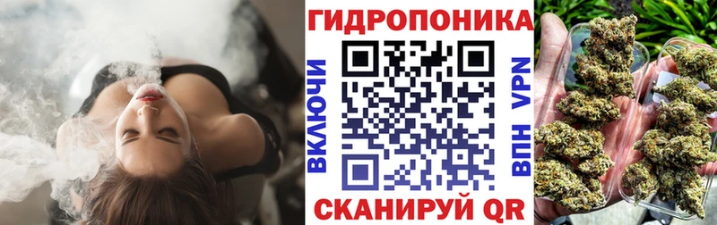 Купить наркотики сайты Ленск APVP ГАШИШ Каннабис