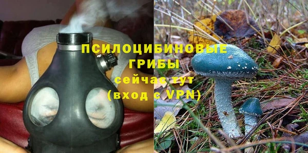 каннабис Арсеньев