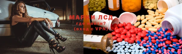 трава Аркадак