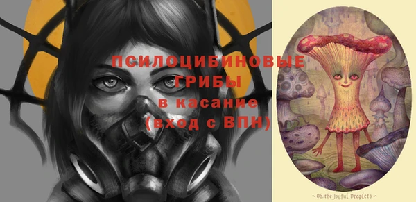 трава Аркадак